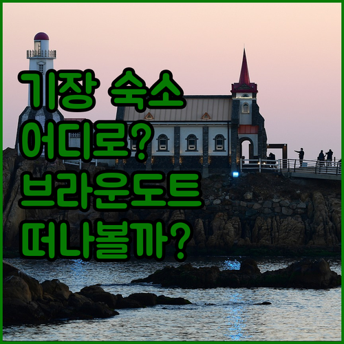 부산 기장 숙소 추천 브라운도트, 하