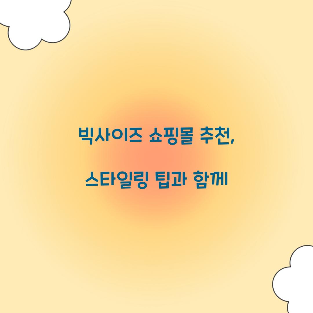 빅사이즈 쇼핑몰 추천
