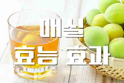  매실, 천연 소화제 매실의 효능과 부작용