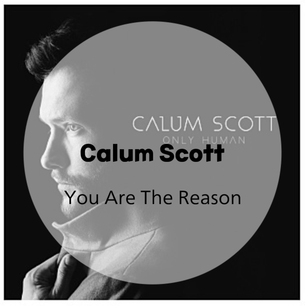 There Goes My Heart Beating Cause You Are The Reason : Calum Scott : You Are the Reason (가사/듣기/Official Video)