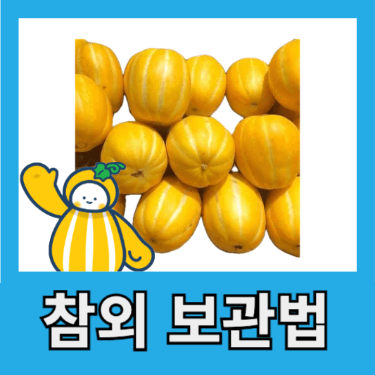 참외 보관법