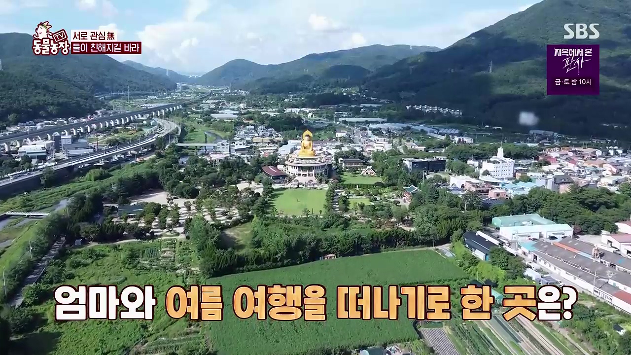 TV 동물농장 1189화 다시보기.ts_20240922_161519.061.jpg