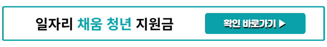 일자리 채움 청년 지원금