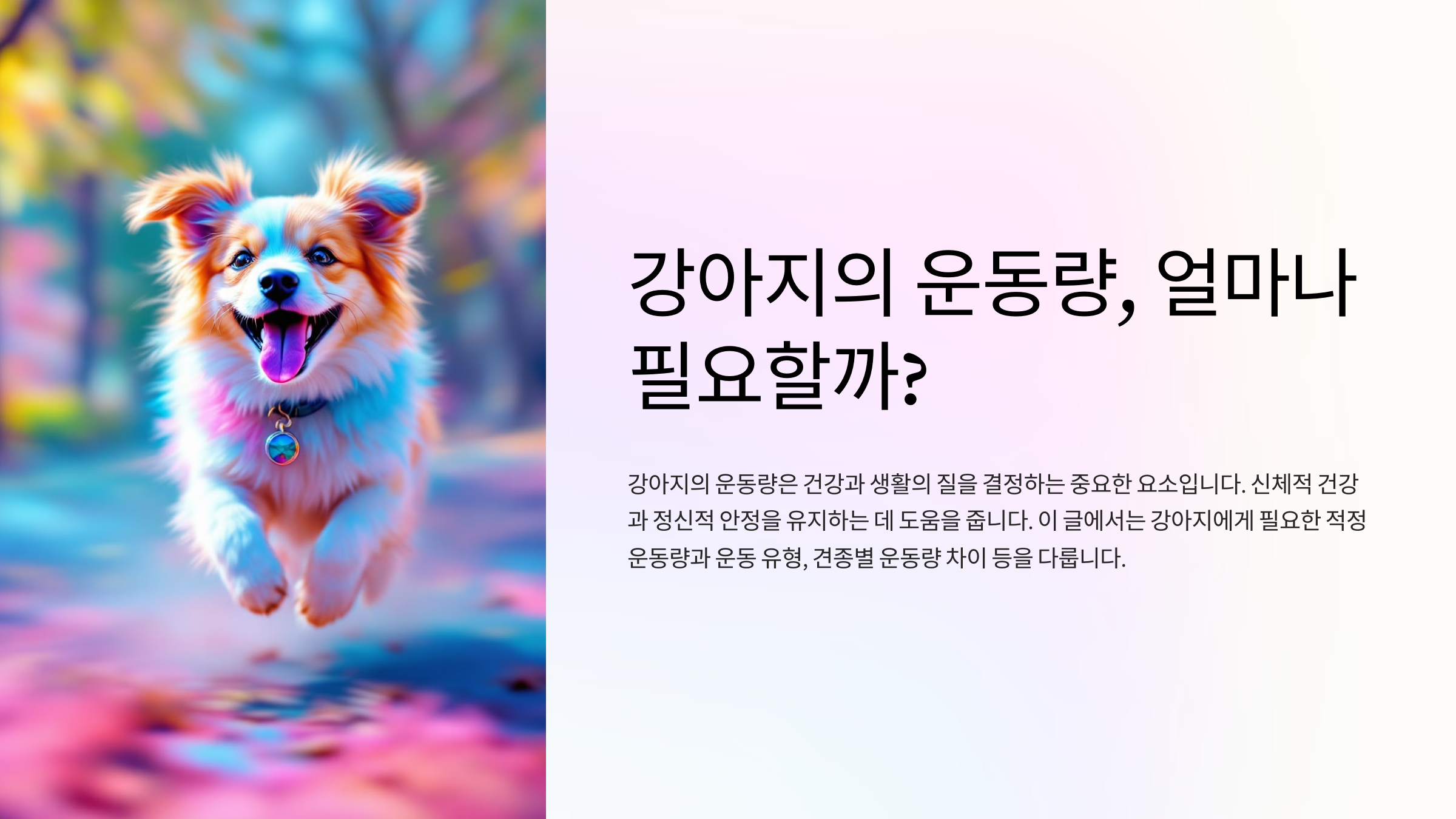 강아지의 운동량