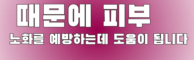  때문에 피부 노화를 예방하는데 도움이 됩니다