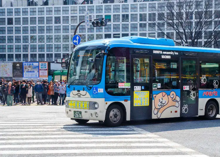 일본 버스