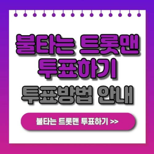  불타는 트롯맨 투표하기
