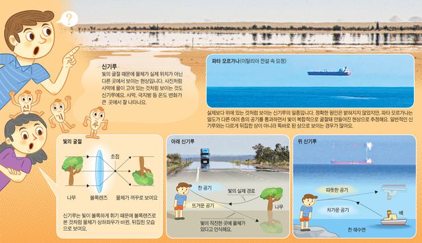 ì‹ ê¸°ë£¨