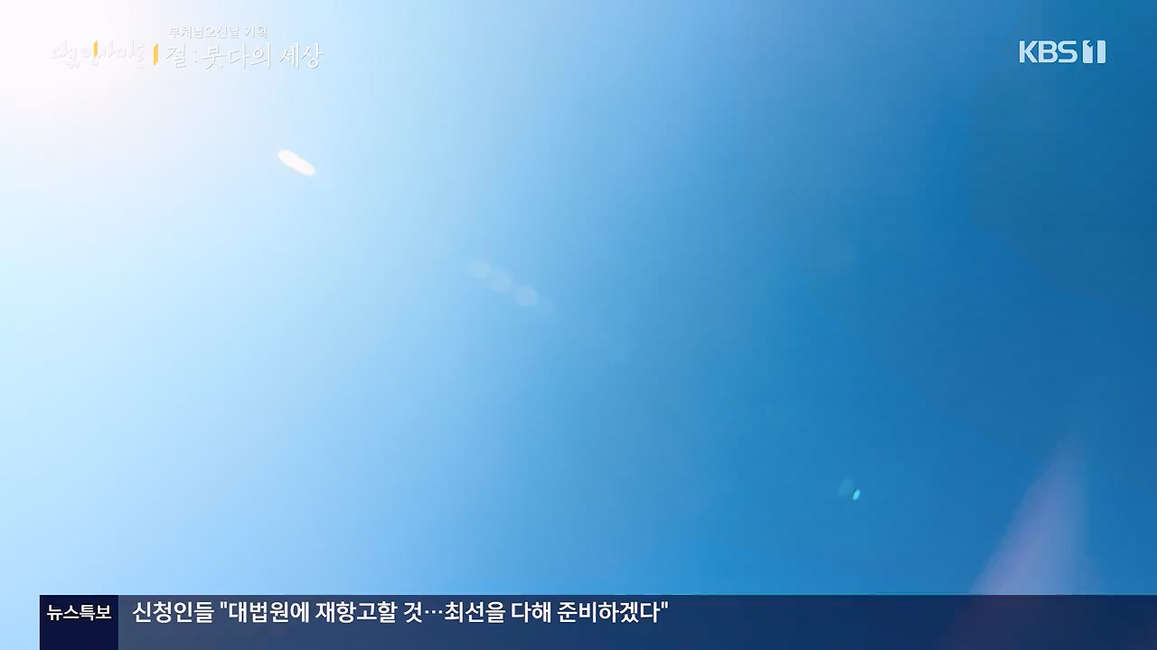 다큐 인사이트.E185.240517p-NEXT.mp4_20240517_202644.836.jpg