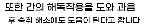  또한 간의 해독작용을 도와 과음 후 숙취 해소에도 도움이 된다고 합니다
