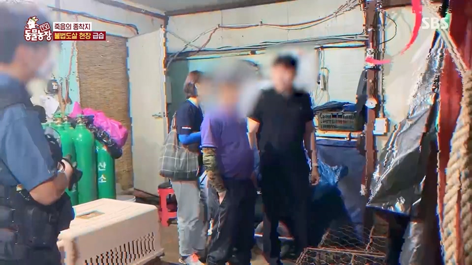 TV 동물농장.E1129.230716p.H264-F1RST.mp4_20230716_183637.825.jpg