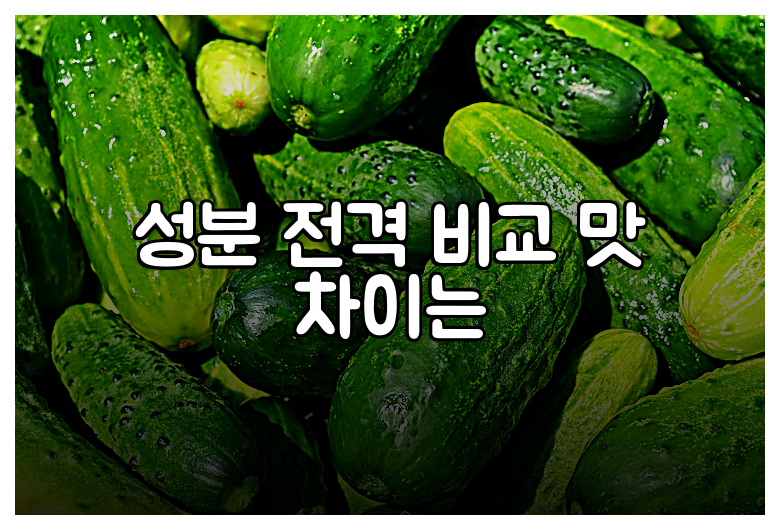성분 전격 비교 맛 차이는