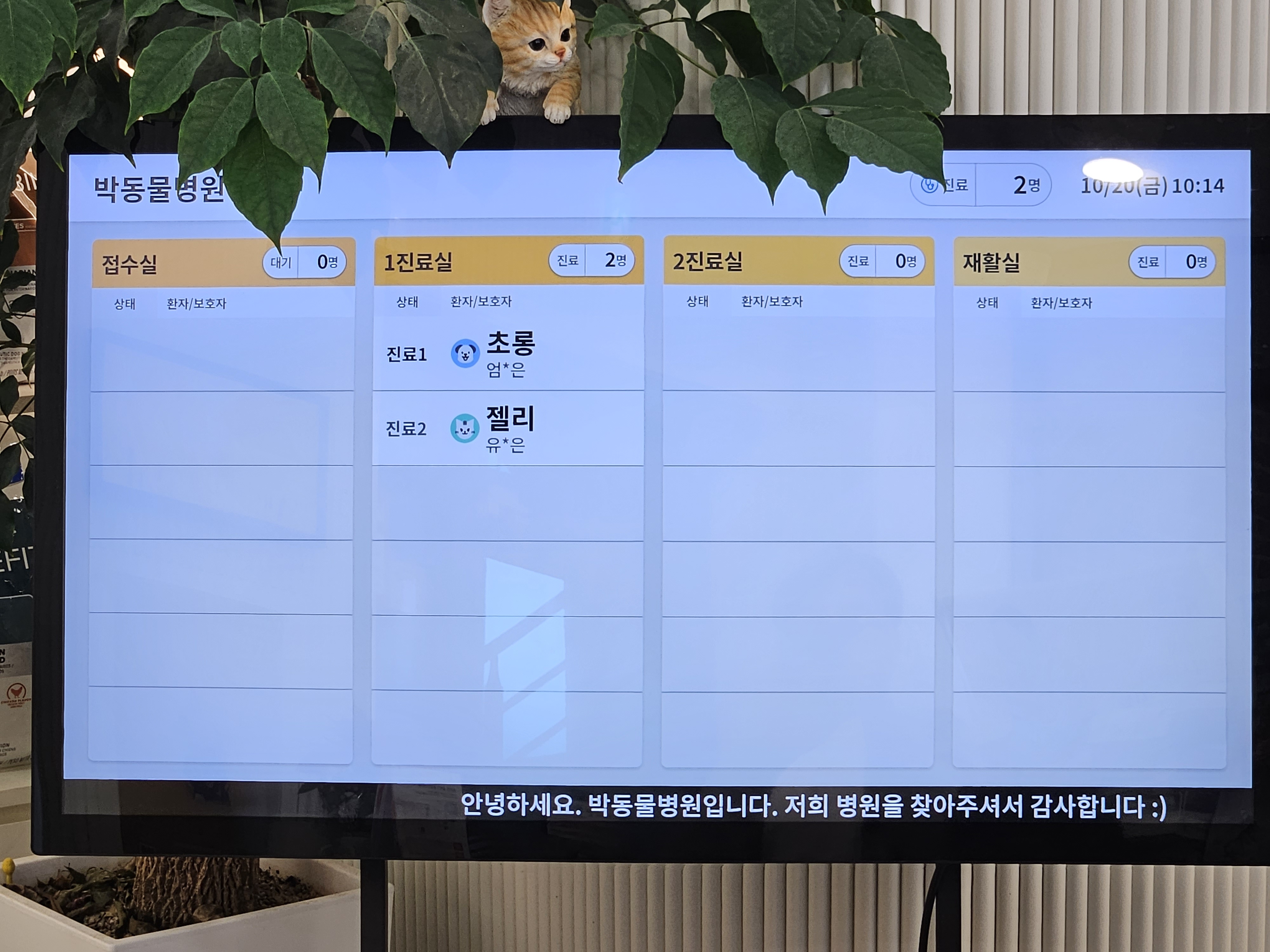 엑조틱고양이
이그조틱고양이
충주 동물병원
충주 박동물병원
박동물병원
고양이 항문낭
고양이 멘스
고양이 정상체온
고양이 광견병 예방접종
광견병 지자체 접종비 지원
고양이 예방접종
박동물병원 재활치료실