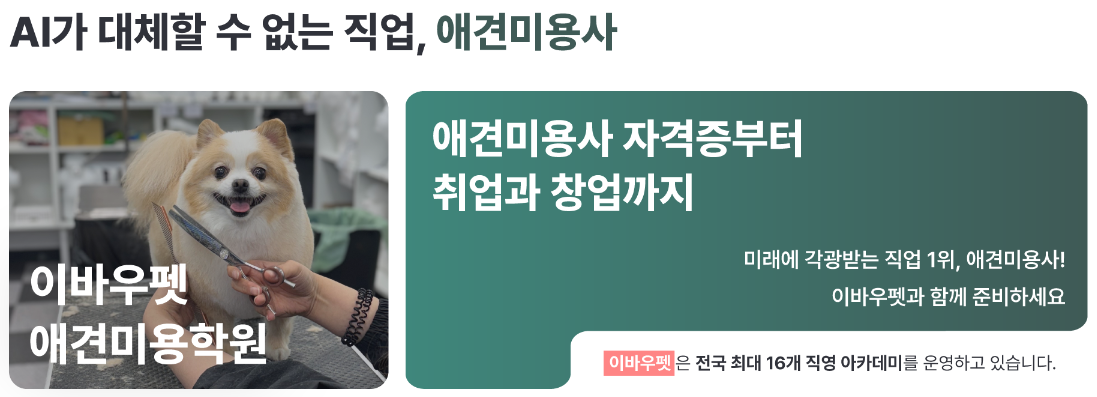 목포애견미용사