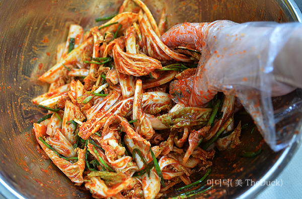 알배추 겉절이 양념장 버무리기