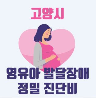 영유아 발달장애 정밀 진단비 지원