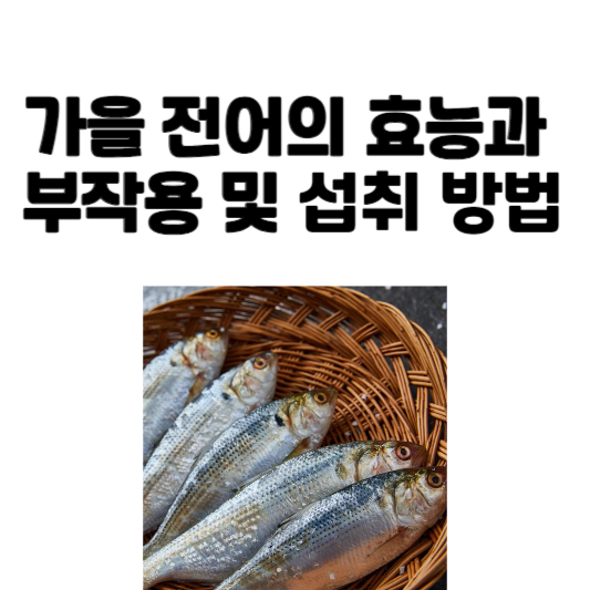 가을 전어의 효능과 부작용 및 섭취 방법