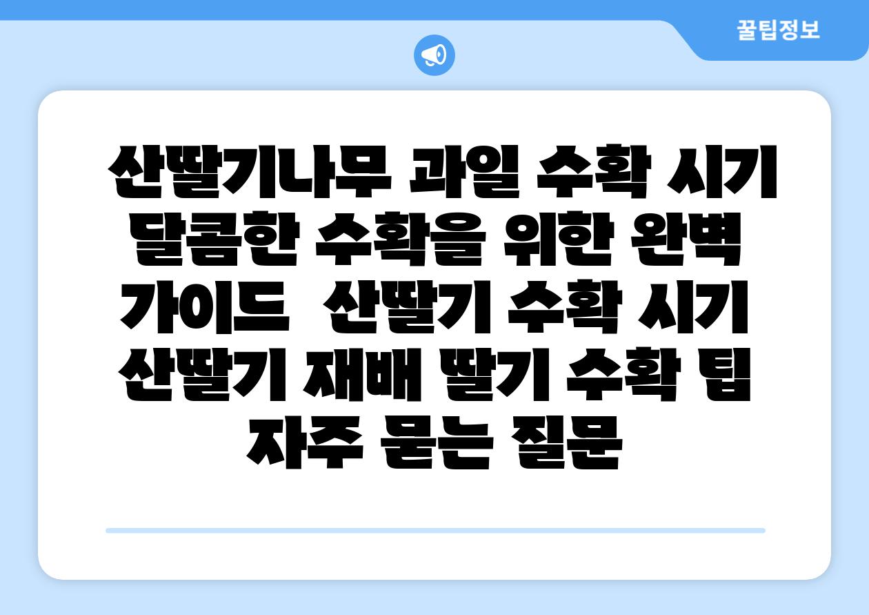  산딸기나무 과일 수확 시기 달콤한 수확을 위한 완벽 설명서  산딸기 수확 시기 산딸기 재배 딸기 수확 팁 자주 묻는 질문