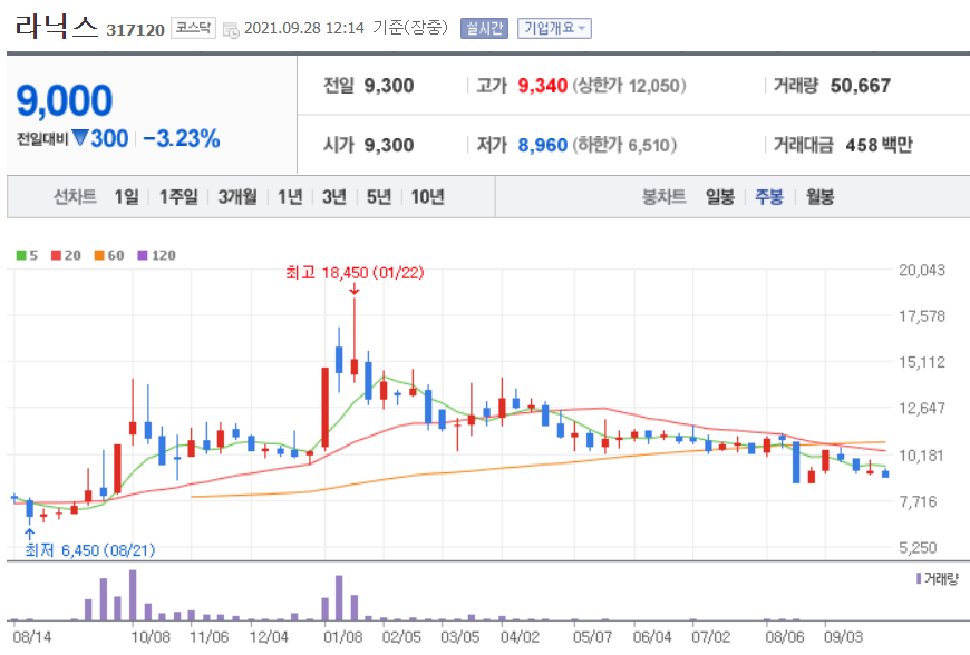 자율주행 관련주 대장주