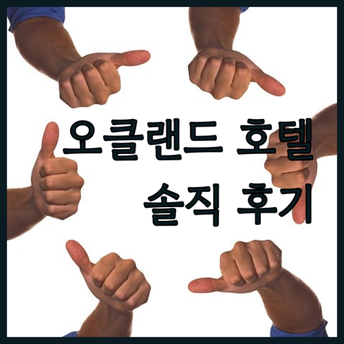 여행객이 극찬한 오클랜드 호텔 Sky