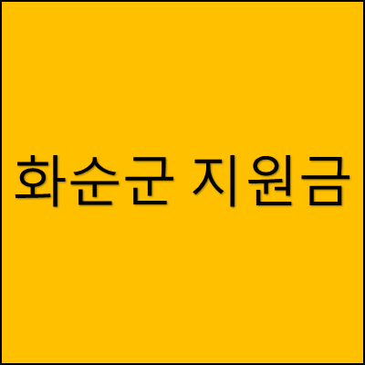 화순군 지원금 썸네일