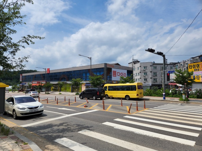 금붕어 사육 시작(물구멍 시작) 5