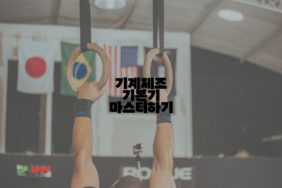 기계체조 기본기 마스터하기