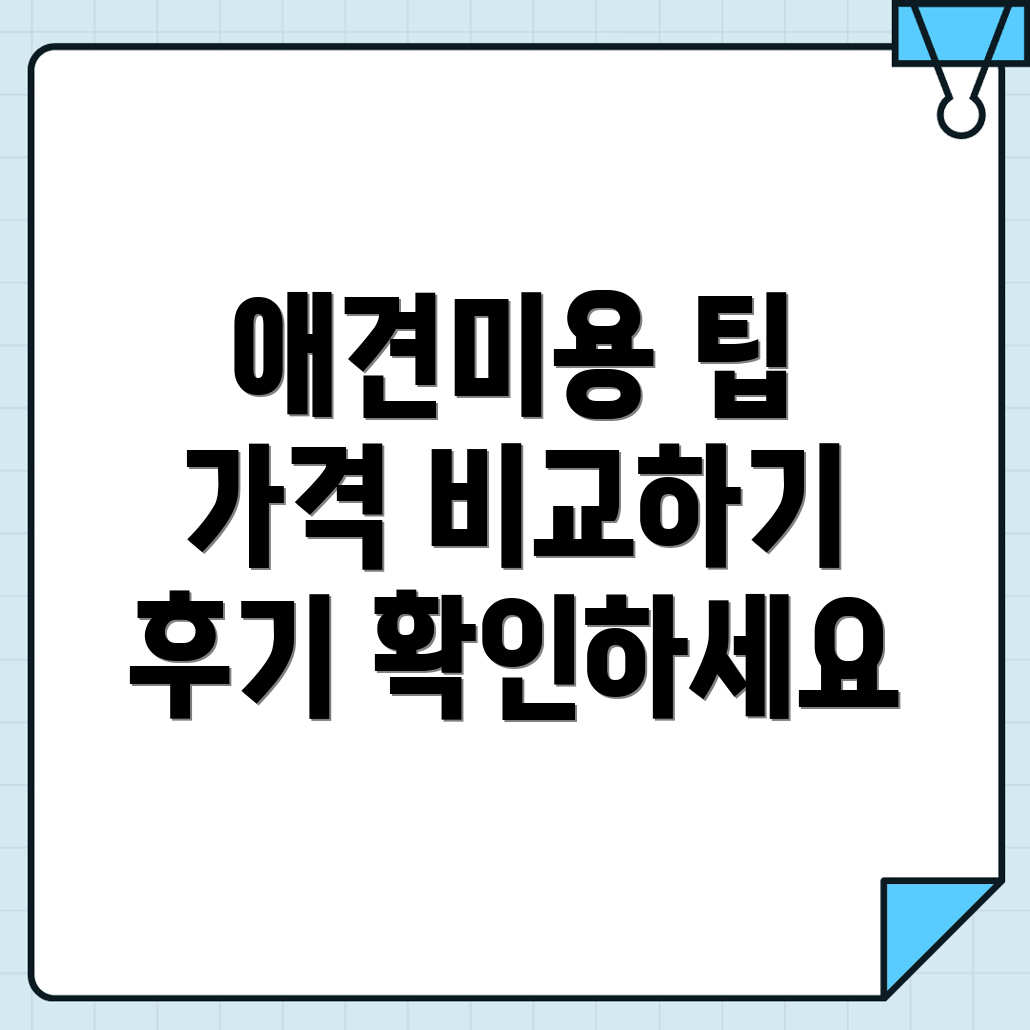청주 애견미용