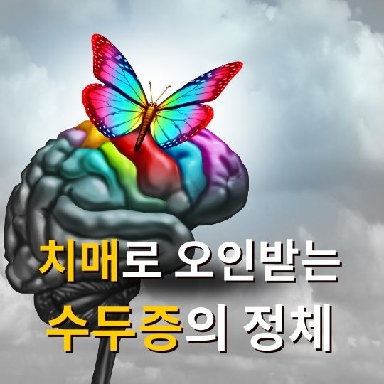 뇌-모형에-나비가-앉은-그림-치매로-오인받는-수두증의-정체-자막이-보인다