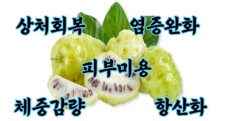  몸속의 염증에 좋은 노니(NONI)