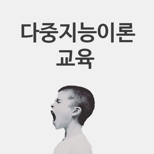  다중지능이론과 교육 - 이해, 영역, 활용, 우주 프로젝트