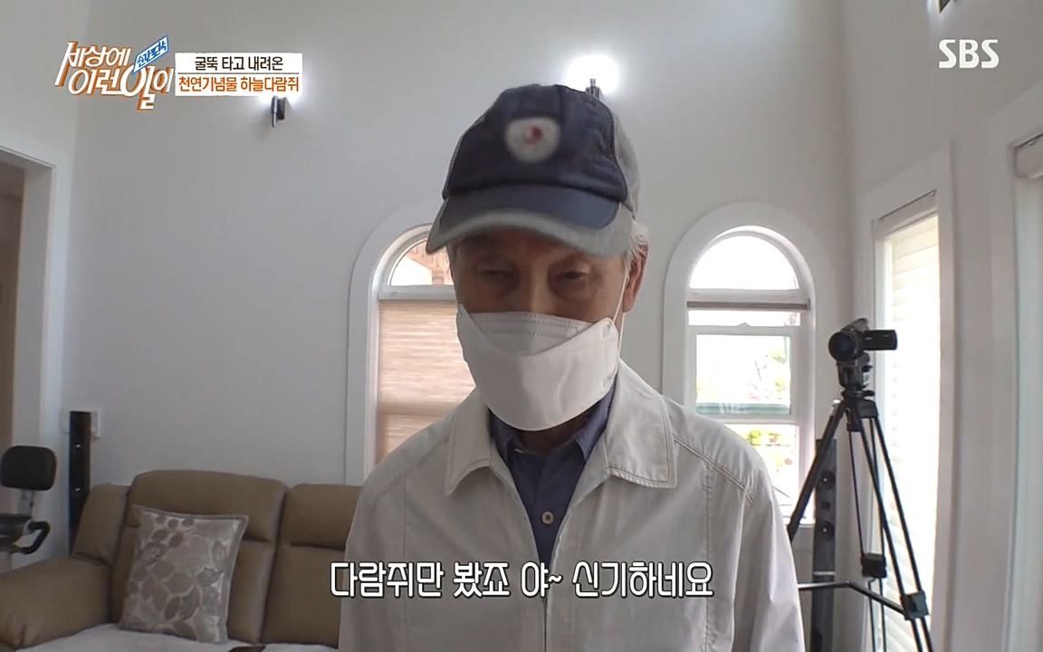 순간포착 세상에 이런일이.E1182.220532p-NEXT.mp4_20220601_173140.808.jpg