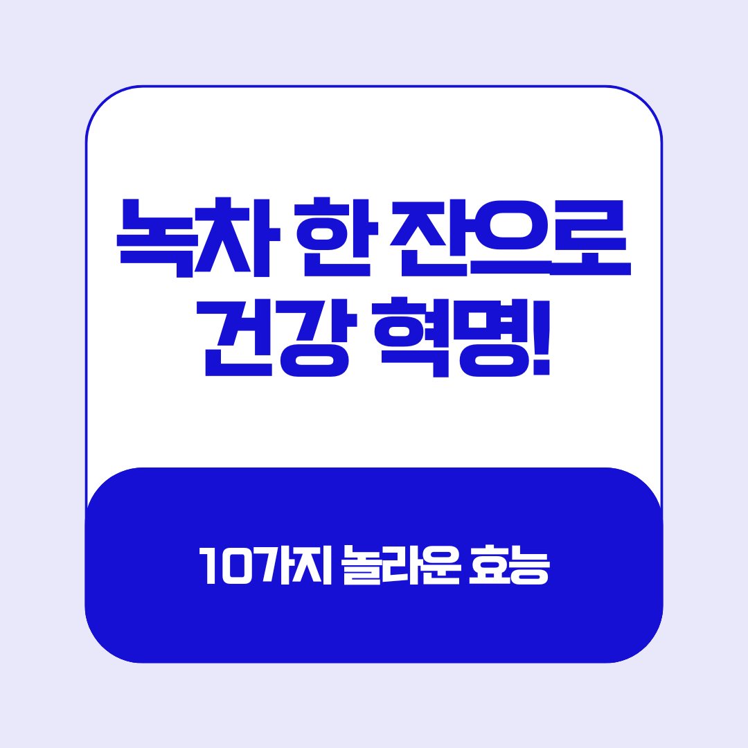 2025년녹차효능