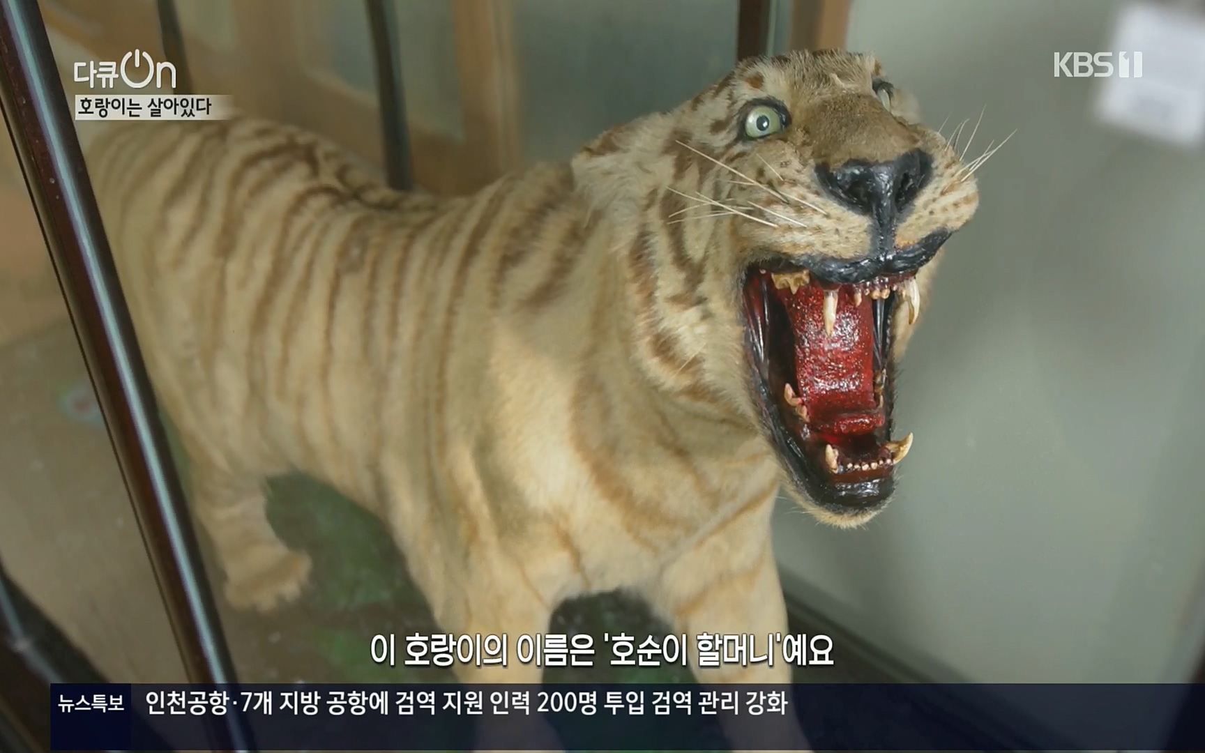 다큐 On.E150.220729p.H264-F1RST.mp4_20220730_164046.944.jpg