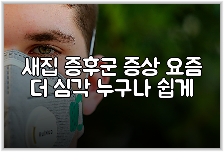 새집 증후군 증상 요즘 더 심각 누구나 쉽게