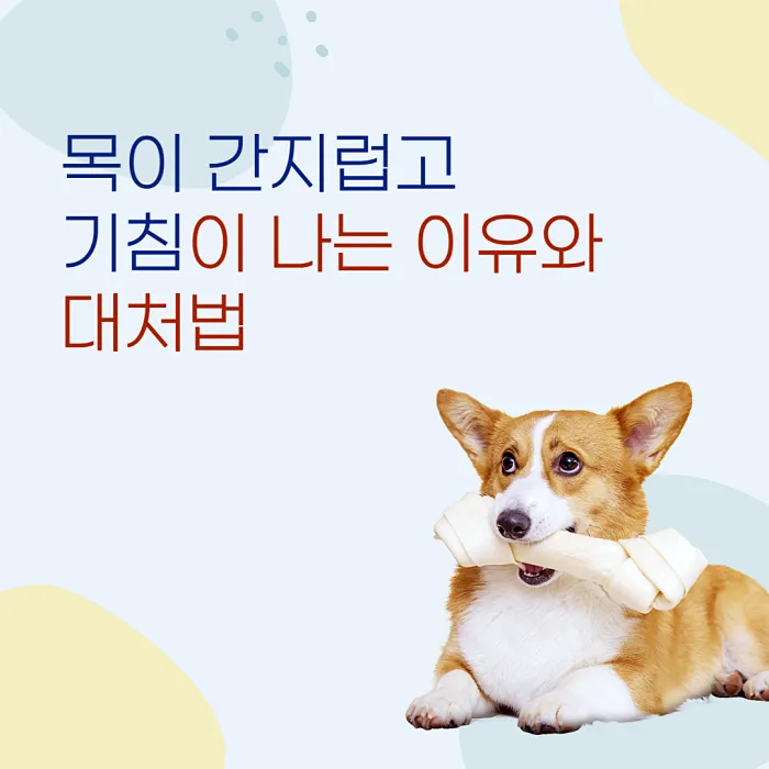  목이 간지럽고 기침이 나는 이유와 대처법