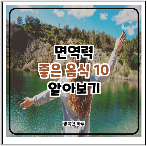  면역력에 좋은 음식 10가지 알아보기