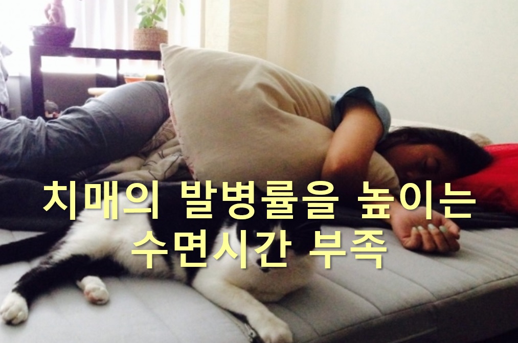  수면시간 부족은 치매의 발병률을 높인다?