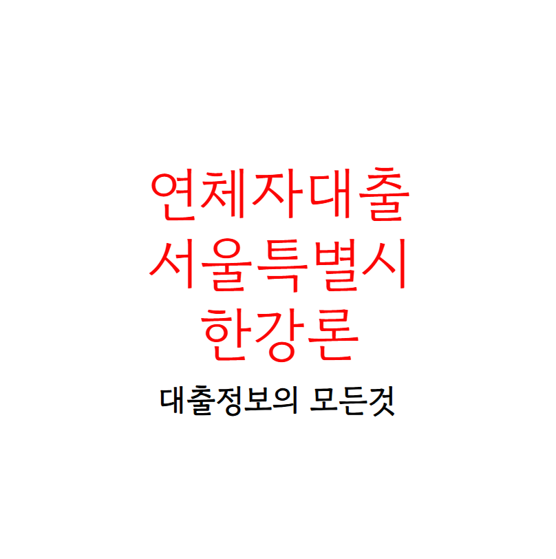 연체자대출한강론