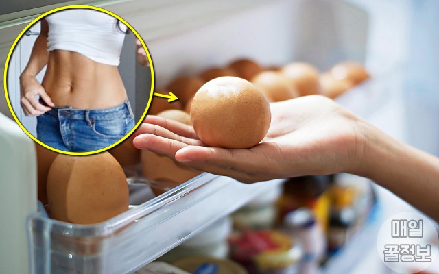 비만세균 잡는 프롤린유산균 많은 음식,달걀