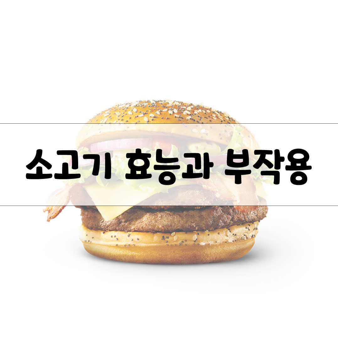 소고기 효능과 부작용