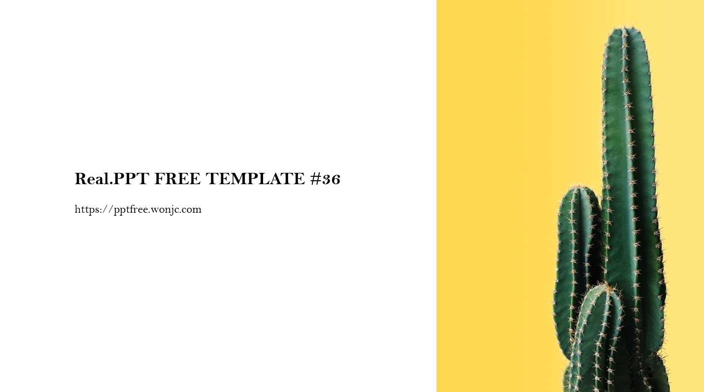힙하고 감성적인 노란 PPT 템플릿 036 - 모던옐로우 디자인
