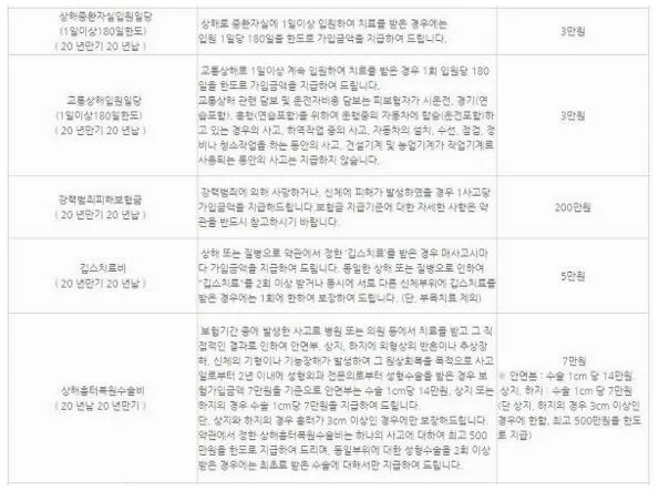 동부화재 운전자보험 보장내용