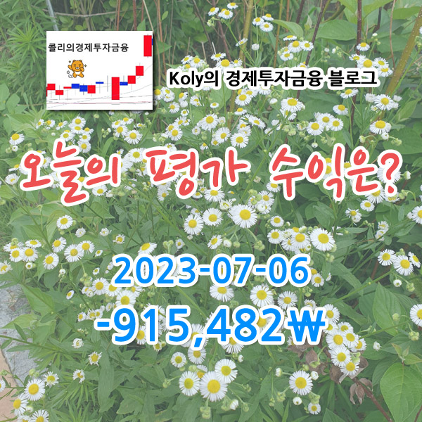 2023-07-06 콜리의 주식계좌 평가손익
