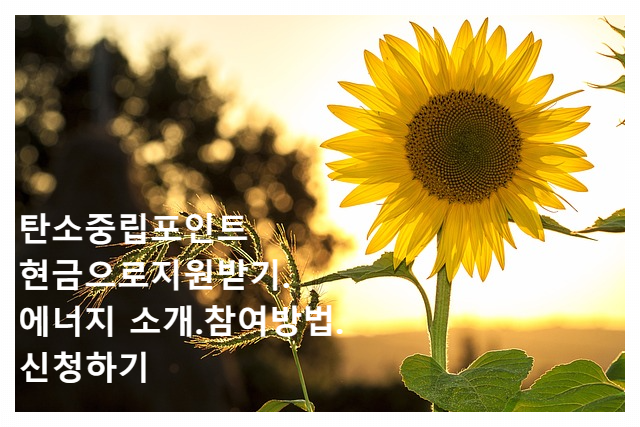  탄소중립포인트 현금으로지원받기.에너지 소개.참여방법.신청하기