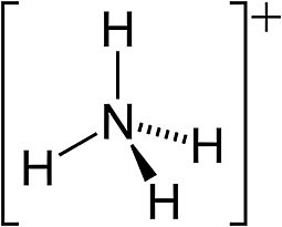 암모늄 이온 ammonium ion&#44; NH4^+