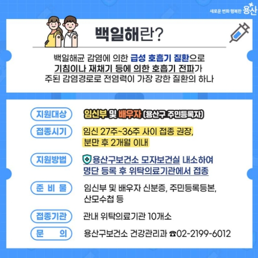 백일해 예방접종 일정 및 가격