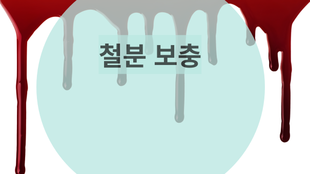  철분의 효능 및 섭취 시 주의사항 및 부작용에 대한 내용