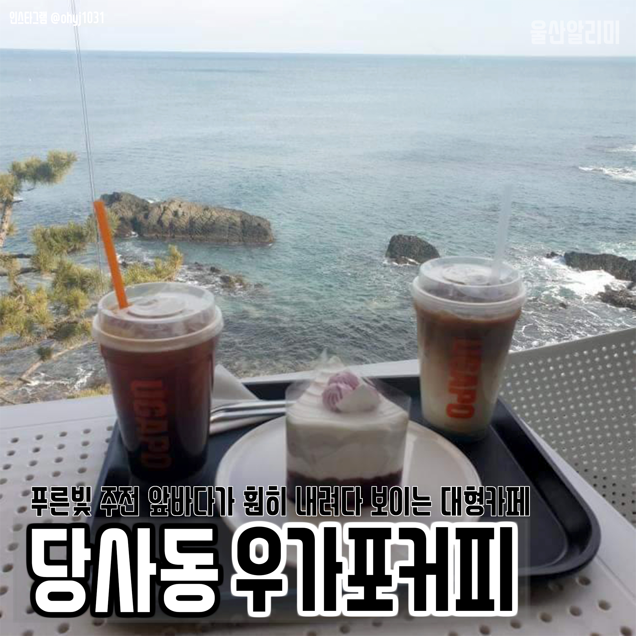 투어바다(주) 이미지