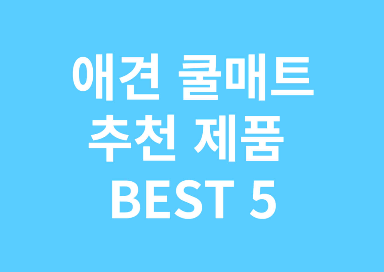  애견 쿨매트 추천